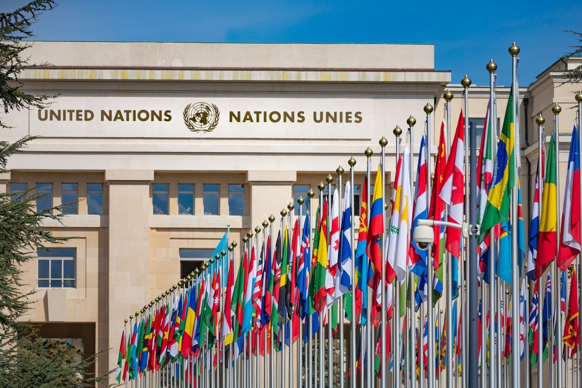 Helping the U.N. Transform Digital Engagement and Optimize Sites