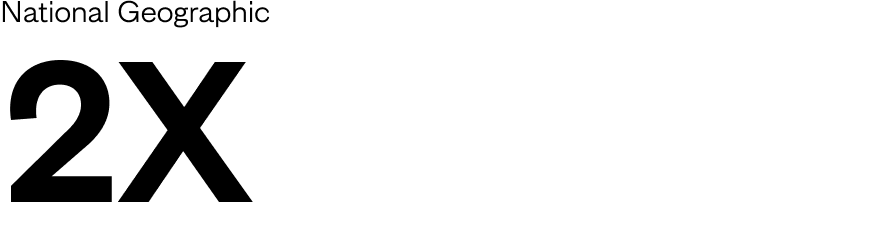Grid image-2